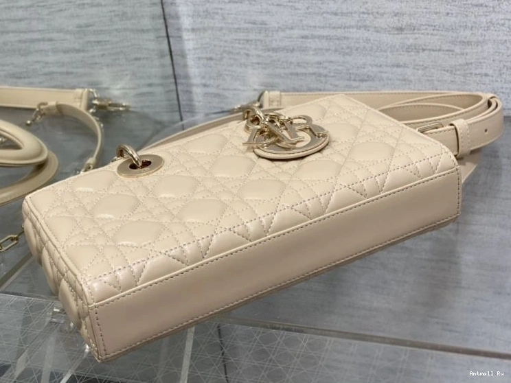 Lady Dior Premium Bags 75903 My Christian 0725